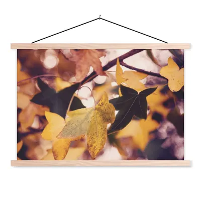 Produktbild von MuchoWow® Textilposter Blätter - Ahorn - Herbst - Jahreszeiten 60x40 cm mit holzfarbenen Rahmen - Bilder