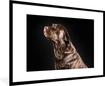 Produktbild von MuchoWow® Gerahmtes Poster Hund - Braun - Porträt 90x60 cm - Poster mit Schwarzem Bilderrahmen Wandposter Rahmen Foto Bilder - Wanddekoration - Fotos