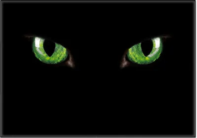 Produktbild von Wallario Wandbild Grüne Katzenaugen bei Nacht, Größe: 70,30 x 100,30 cm, Poster mit schwarzem Aluminiumrahmen