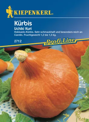 Produktbild von Kürbis Uchiki Kuri, Hokkaidokürbis