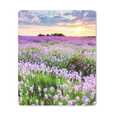 Produktbild von MuchoWow® Mauspad Mousepad Blumen - Lavendel - Lila - Himmel - Sonnenuntergang - Wiese - Natur 19x23 cm - Mousepads - Maus Mat - Pad - Mausunterlage - Mauspads - Spielen