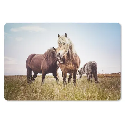 Produktbild von MuchoWow® Mauspad Mousepad Pferde - Gras - Frühling 27x18 cm - Mousepads - Maus Mat - Pad - Mausunterlage - Büroartikel - Desk Matten