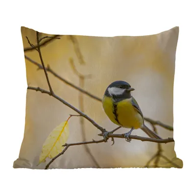 Obrázek produktu pro MuchoWow® Vnější polštář - Sýkora koňadra - Větev - Pták - Zvířata -45x45 cm- Odolnost proti povětrnostním vlivům - polštář do obývacího pokoje