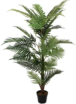 Zdjęcie produktu dla EUROPALMS Palma Areca, sztuczna roślina, 150 cm (82509414)