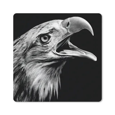 Produktbild von MuchoWow® Mauspad Mousepad Adler - Porträt - Raubvögel - Schwarz - Weiß - Vogel 20x20 cm - Mousepads - Maus Mat - Pad - Mausunterlage - Desk Mat - Bureauartikeln