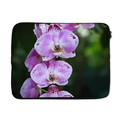 Produktbild von MuchoWow® Laptop Hülle 15 Zoll Blühende Orchideen Laptoptasche - Laptoptasche - Sleeve - Rundum-Schutz