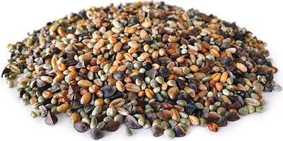 Produktbild von Golden Partikel Mix 2,5KG | Karpfen futter