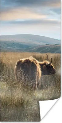 Produktbild von MuchoWow® Poster Schottische Highlander - Nebel - Gras 20x40 cm - Plakat - Foto