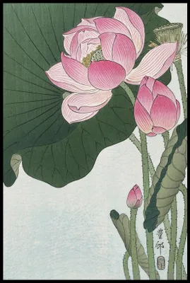 Produktbild von Plakat 61x91,5 cm Blühende Lotusblumen, Japanischer Koson Vintage für das Wohnzimmer