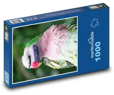 Obrázek produktu pro martinpuzzle - Puzzle 1000 - Barevný papoušek