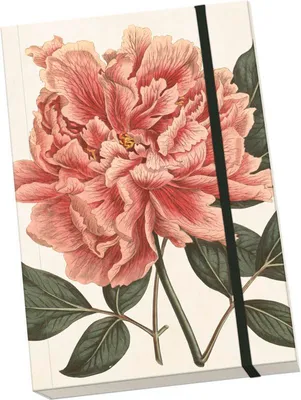 Image de Cahier des pivoines