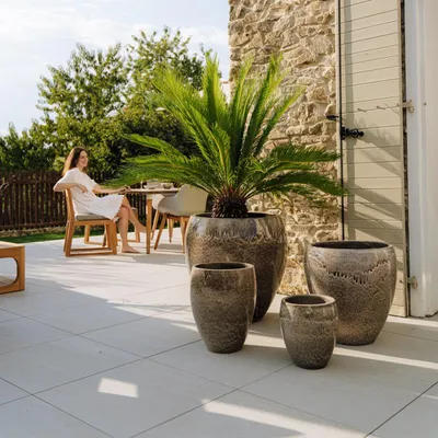 A woman is sitting on a patio next to a large potted plant and several smaller pots.