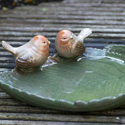 Produktbild von Süßes Keramik Vogelbad, Vogeltränke DIVA, zwei Vögeln auf einem Blatt