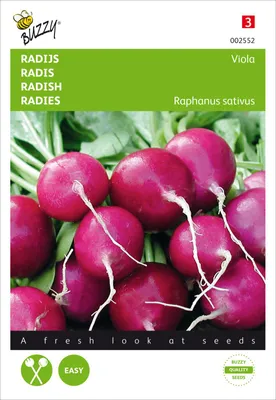 Produktbild von Radies Viola | Radieschensamen von Buzzy Seeds