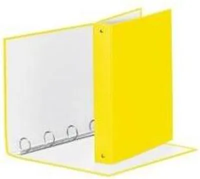 Image de Esselte 395792930 Boîte de classement Plastique Jaune