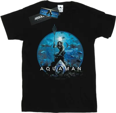 Produktbild von DC Comics - T-Shirt für Herren BI49299 (M) (Schwarz)