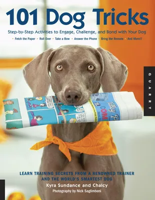 Produktbild von 101 Dog Tricks