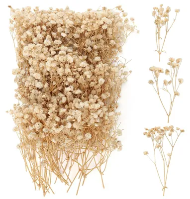 100 getrocknete Schleierkraut-Blüten, natürliche Trockenblumen für DIY