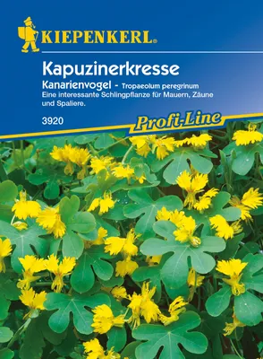 Produktbild von Kapuzinerkresse Kanarienvogel | Kapuzinerkressesamen von Kiepenkerl [MHD 01/2025]