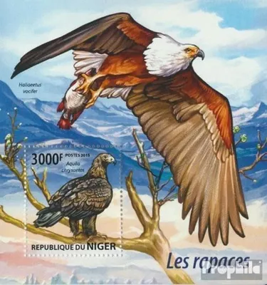 Produktbild von Briefmarken Niger 2015 Mi Block 434 (kompl. Ausg.) postfrisch Raubvögel