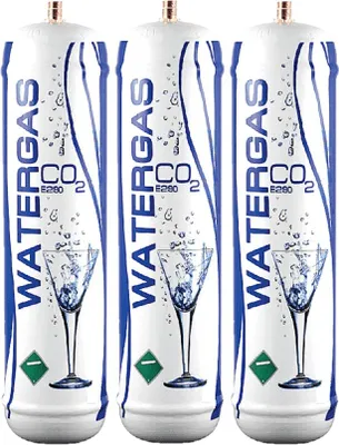 Image de Watergas Co2 bouteille cylindrique jetable 600 gr E290 raccord de gaz carbonique 11x1 M pour les fontaines à eau, les groupes frigorifiques et les fontaines d'eau potable, 3 pièces