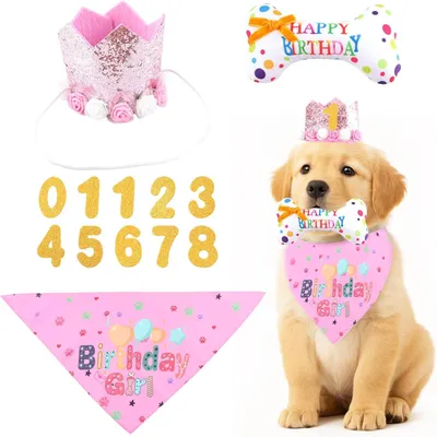 Immagine prodotto di Fascia per cani - Set da 4 - Poliestere - Rosa
