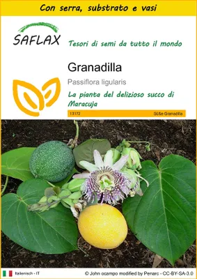 Immagine prodotto di SAFLAX Insieme di coltivazione - Granadilla - 20 semi - Passiflora
