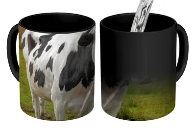 Obrázok produktu pre MuchoWow® Magický pohár Krava - Portrét - Frízska 350 ml Pohár na zmenu farby Darček Nápad na darček - Foto hrnček