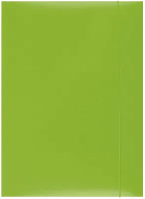Image de Chemises à élastique A4 en carton - vert