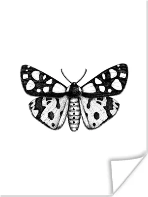Produktbild von MuchoWow® Poster Schmetterling - Vintage - Schwarz und weiß 90x120 cm - Wohnzimmer