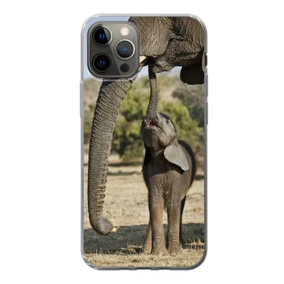 Produktbild von MuchoWow® Handyhülle Schutzhülle Hülle für iPhone 13 Pro Elefant - Tiere - Gras - Natur Silikon Softcase Handy Hülle - Handy-Tasche