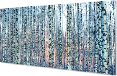 Produktbild von Glasbilder 140x70 Wandkunst Birkenwald Sonnenuntergang