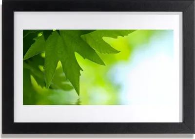 Produktbild von Bild 30x20 MDF-Rahmen Wandkunst Blätter Natur Pflanze