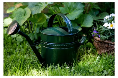 Produktbild von Gießkanne 3,5 Liter Grün Metall Zinkkanne