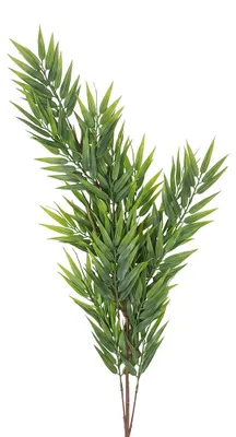 Obrázok produktu pre Clayre & Eef, umelá kvetina, zelená, plast