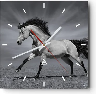Produktbild von Wanduhr - Quadrat - Glasuhr - Pferd Tier Natur - 30x30cm - Schleichendes Uhrwerk - Lautlos - zum Aufhängen bereit - Dekoration Modern - Wanddekoration aus Glas - C3AC30x30-3608