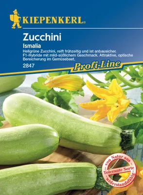 Produktbild von Zucchini Ismalia F1 | Zucchinisamen von Kiepenkerl [MHD 01/2024]