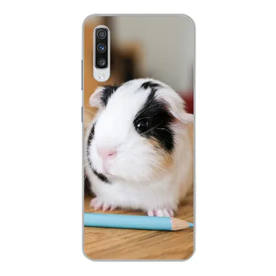 Produktbild von MuchoWow® Handyhülle Schutzhülle Hülle für Samsung Galaxy A70 Entzückende Baby-Meerschweinchen Silikon Softcase Handy Hülle - Schutzhaube
