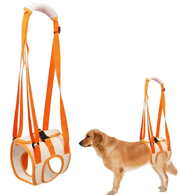 Image de Elzusha - Harnais de soutien pour les pattes arrière des chiens - Soutien pour les chiens blessés ou handicapés