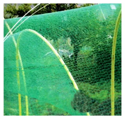 Produktbild von Vogelnetz 4x5 m, Kunststoff, Schutznetz für Pflanzen und Teich