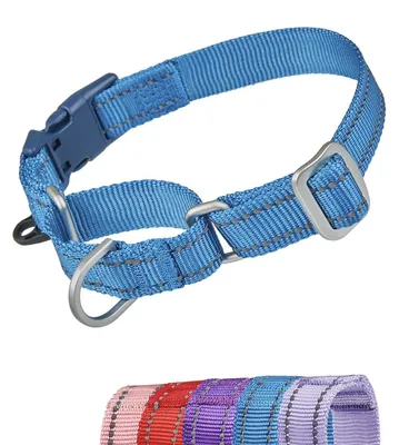 Image de Omgoods - Collier martingale réfléchissant pour chien, idéal pour l'entraînement