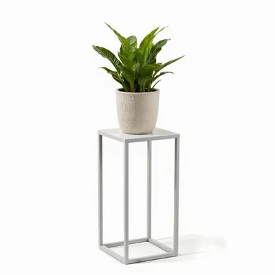 A potted green plant sits on a white metal plant stand against a white background.