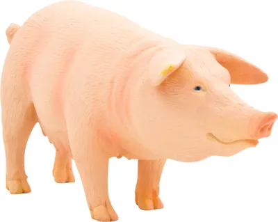 Produktbild von Mojo Fun Pig (Sow), 3 Jahr(e), FARMLAND, Pink, Polyvinylchlorid (PVC)