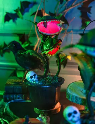 Zdjęcie produktu dla Mięsożerna roślina dekoracja na Halloween zielono-czerwono-czarna 42 cm -