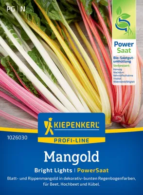 Artikelbild 2 von 'Mangold Bright Lights (PowerSaat)' aus der Kategorie Mangoldsamen