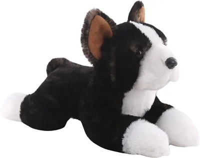 Productafbeelding van Boston Terrier, 25 cm