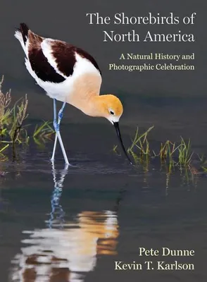 Image de The Shorebirds of North America