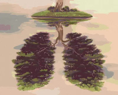 Produktbild von Zuty - Malen nach Zahlen - LUNGENFÖRMIGER BAUM AUF EINER INSEL, 40x50 cm, mit Keilrahmen (bereits gespannt)