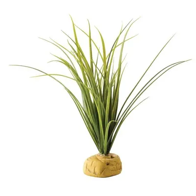 Image de Hagen Exo Terra Turtle Grass
