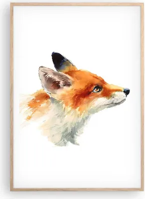 Produktbild von Gerahmtes Poster - Rahmen in heller Eiche - Fuchs Tier Natur - 70x100 cm - Wand Bild - Wanddeko - Wandbilder - Wandposter - Bilderrahmen - Bilder - Kunstdruck - Wandbild - P2NPA70x100-3904
